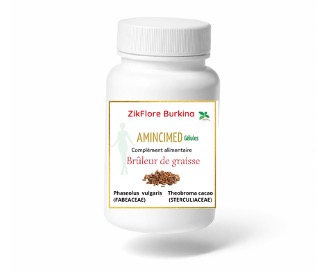 Zikflore Amincimed gélules B/30